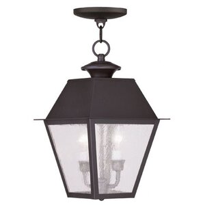 Cynda 2-Light Outdoor Hanging Lantern
