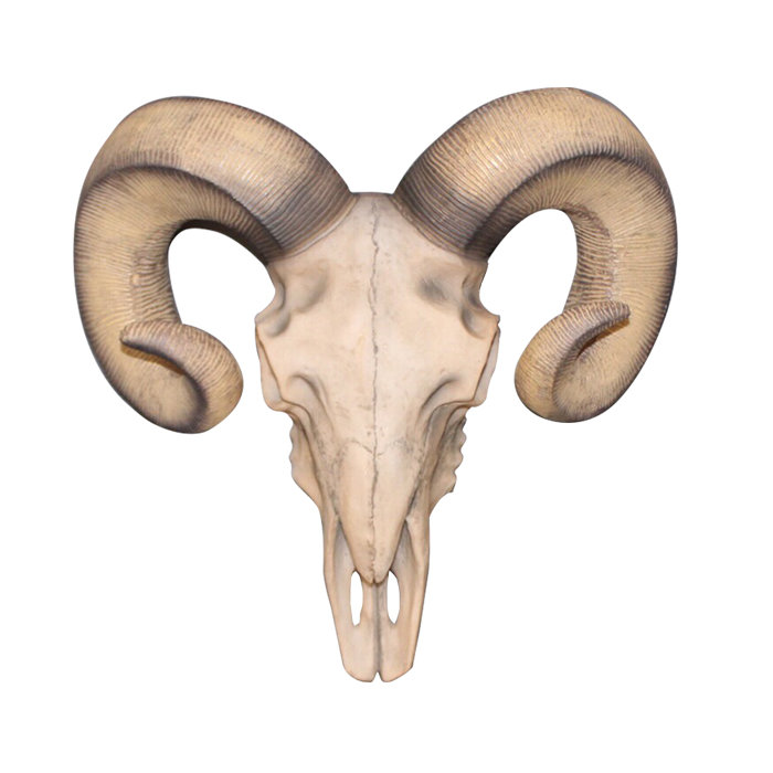 Mercer41 Faux Ram Skull Room Wall Decor Wayfair