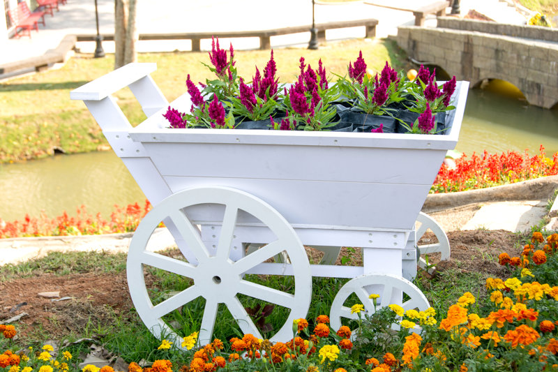 White Wood Cart by Myibean - Wrapped Canvas Photograph Size: 12" H x 18" W