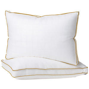 Plush Hypoallergenic 2 Pack Gel Fiber Queen Pillow by Alwyn Home
