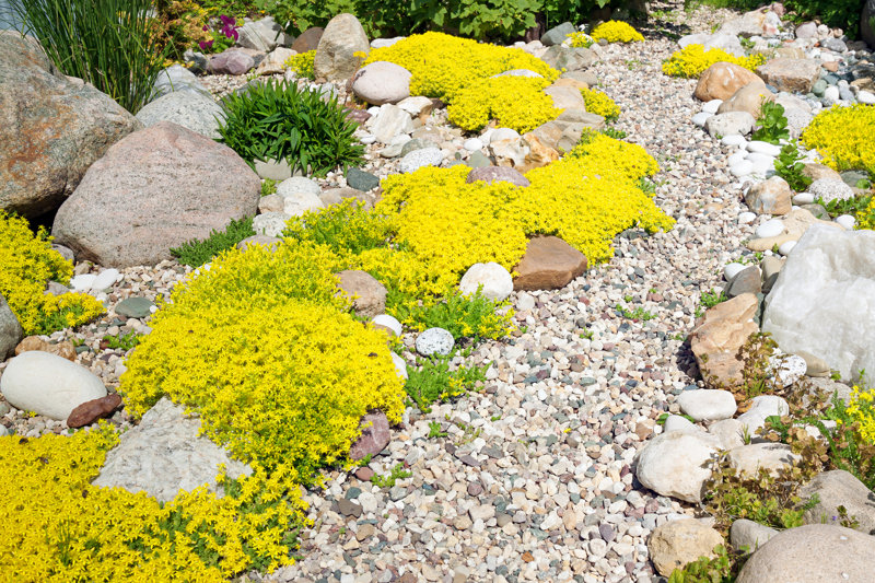 Rockery Rock Garden - Wrapped Canvas Photograph Size: 8" H x 12" W
