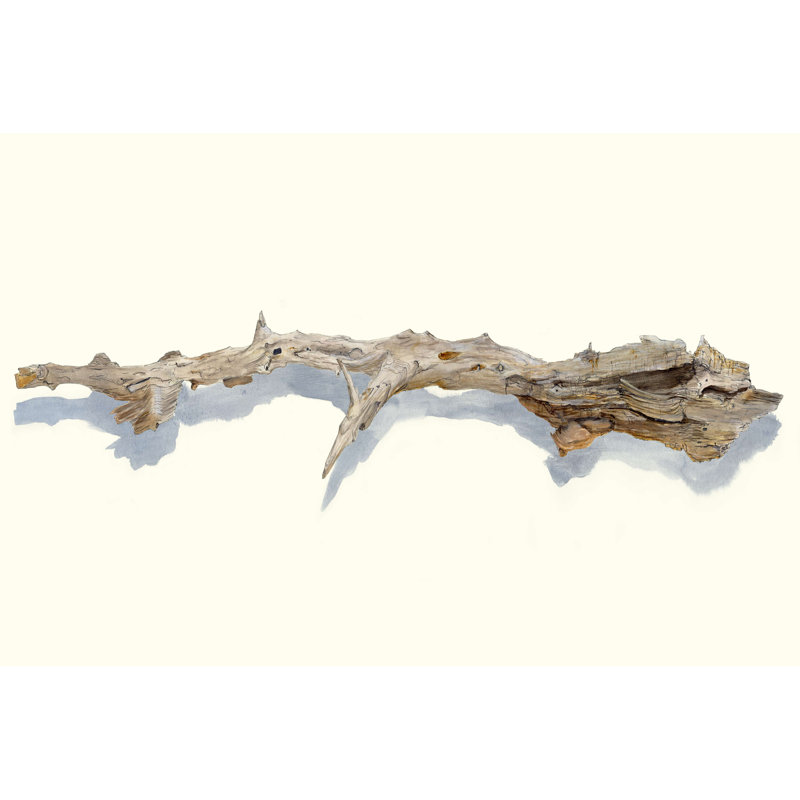 Driftwood Study I - Wrapped Canvas Print