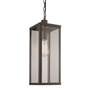 Pinon 1-Light Outdoor Hanging Lantern