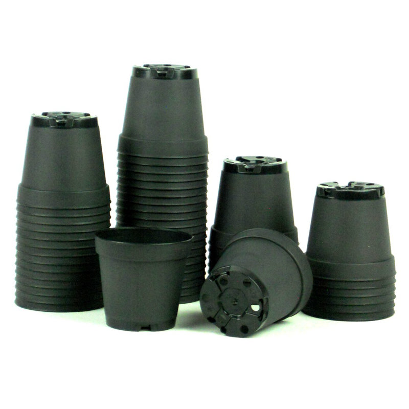 Freeport Park Torquay Plastic Nursery Pot Wayfair Freeport Park Torquay Plastic Nursery