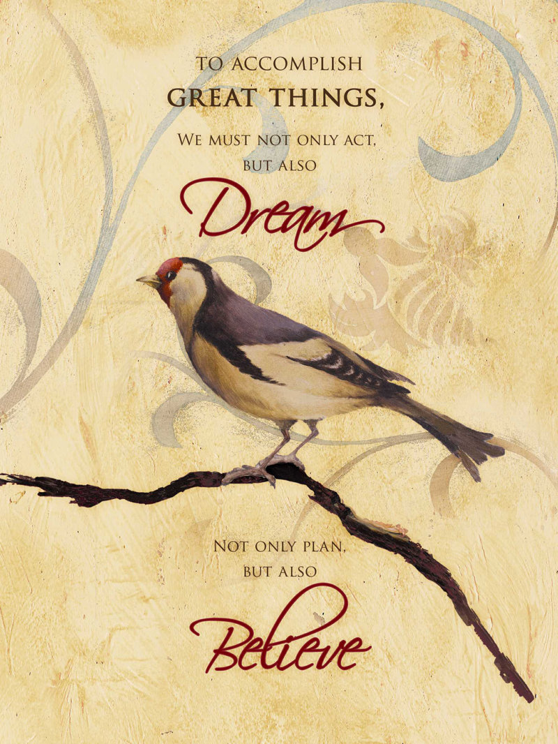 Dream Bird - Wrapped Canvas Print Size: 12" W x 16" H