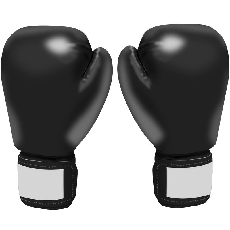 gym boxing gloves