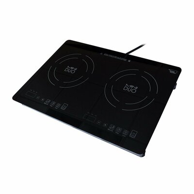 21 Induction Cooktop With 2 Burners True Induction