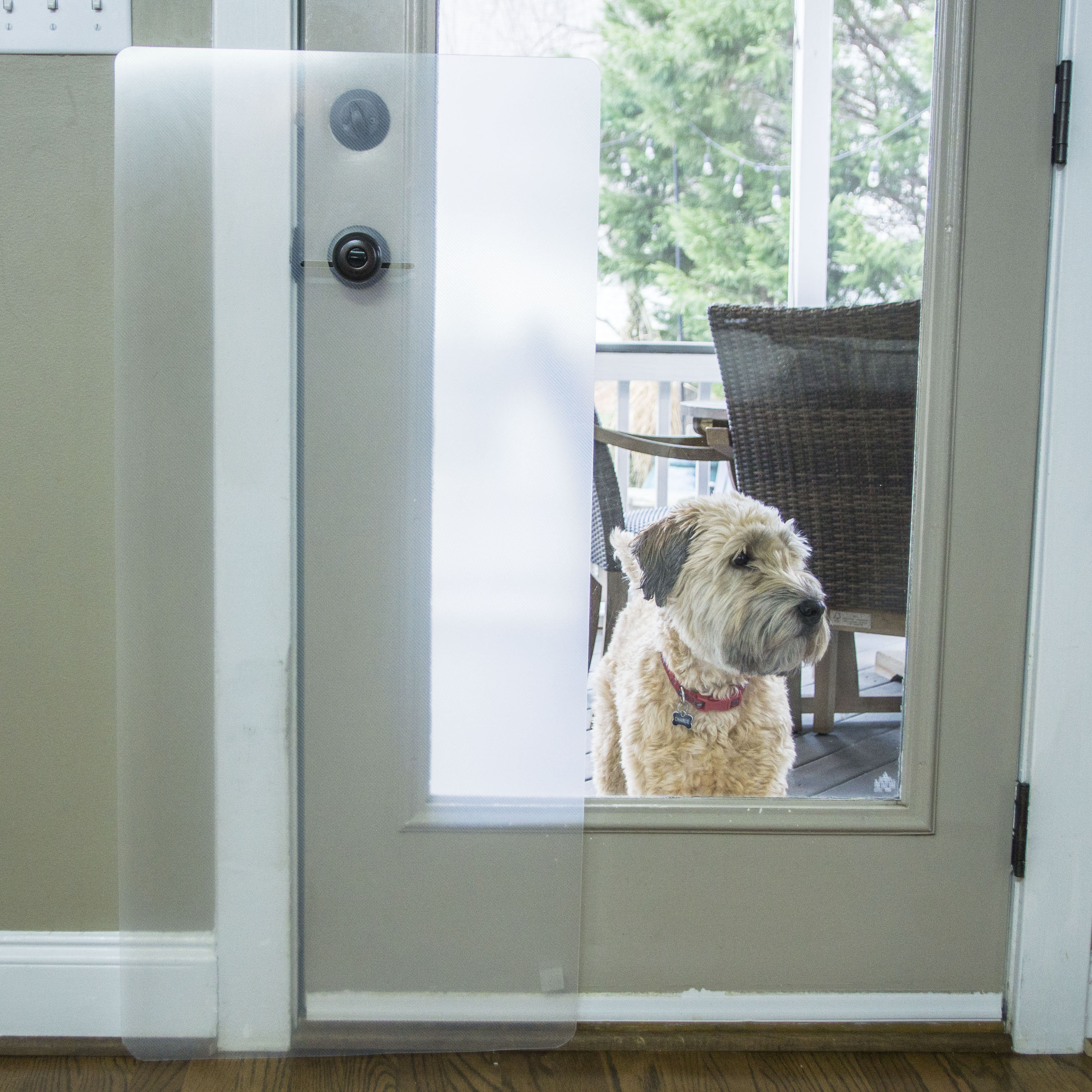 CLAWGUARD Door and Door Frame Scratch Shield Installation Pet Door