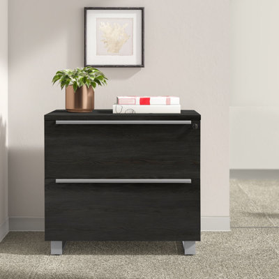 Maysey 2-Drawer Lateral Filing Cabinet