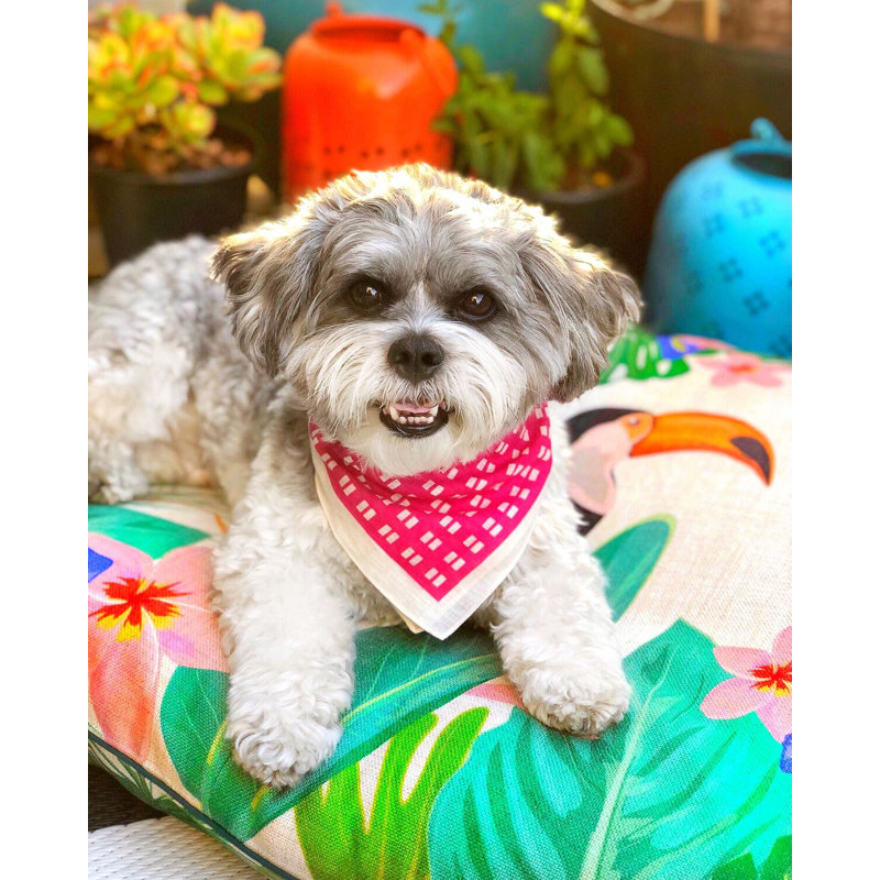 pink flamingo dog bed