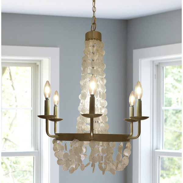 Sea Shell Chandelier Wayfair