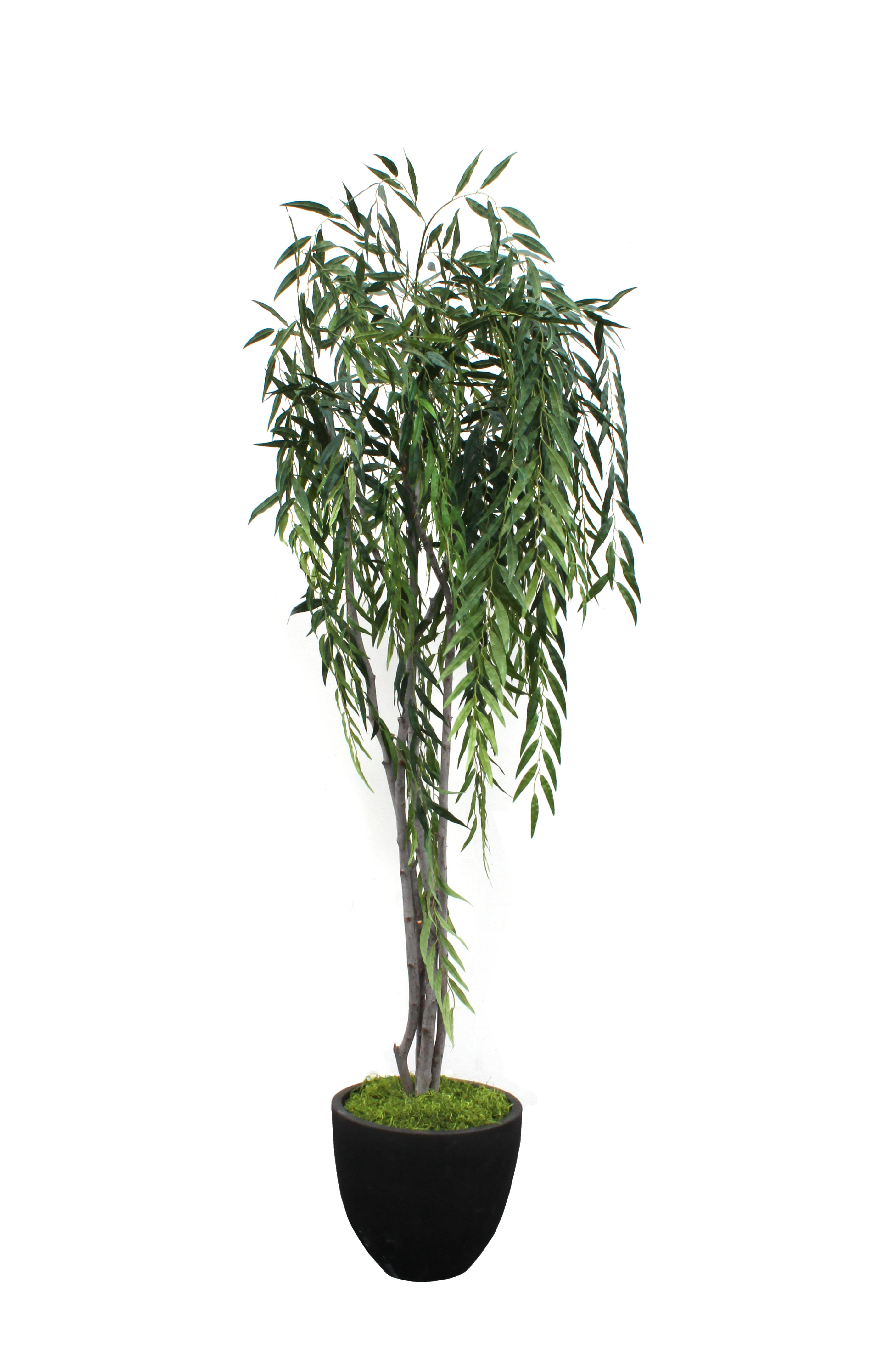 wayfair standing planter on Dalmarko Designs Dark Willow Tree In Black Planter Wayfair