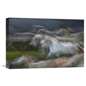 East Urban Home Echoing In Motion By Milan Malovrh Graphic Art Print Wayfair