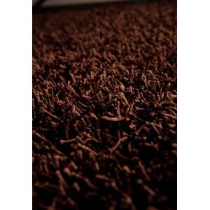 Eva Hand-Woven Dark Brown Area Rug