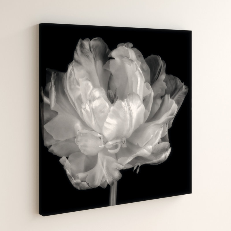 Zipcode Design Tulipa Double Black And White I Painting Print On