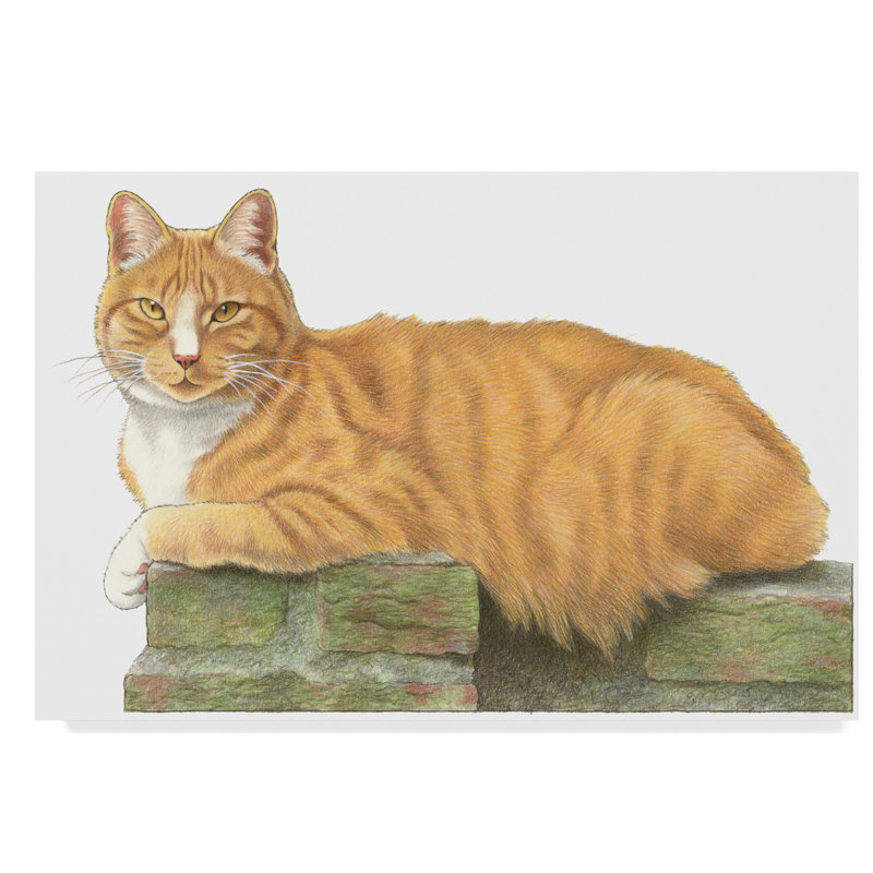 Trademark Art Orange Cat On Perch Acrylic Painting Print On