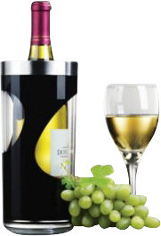 Prodyne Two Tone Iceless Swirl Wine Cooler Reviews Wayfair
