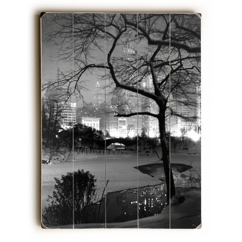 Wrought Studio Winter At Night New York Central Park Wall Art
