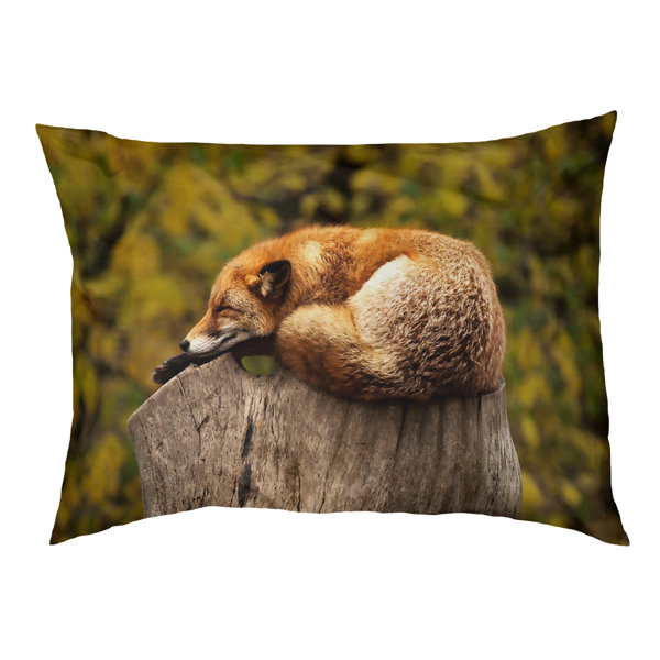 Sleeping Cat Wayfair