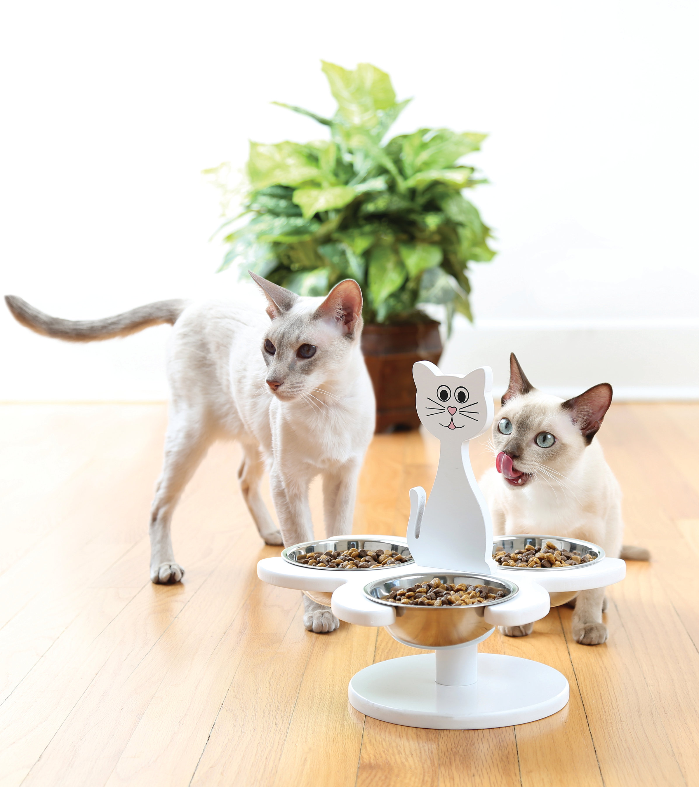 multi cat feeder
