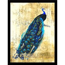 PEACOCK BIRDS FEATHER BLACK FRAME FRAMED ART PRINT PICTURE MOUNT B12X9448