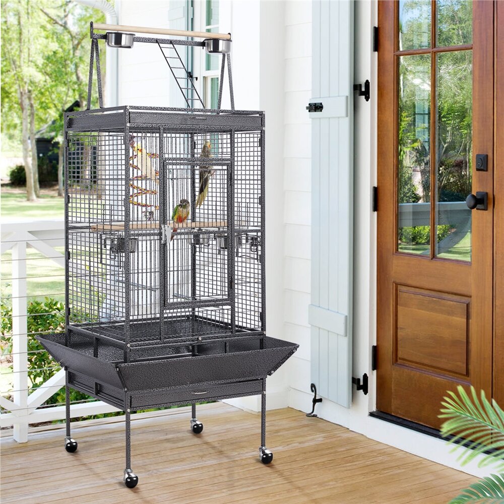 archie and oscar bird cage