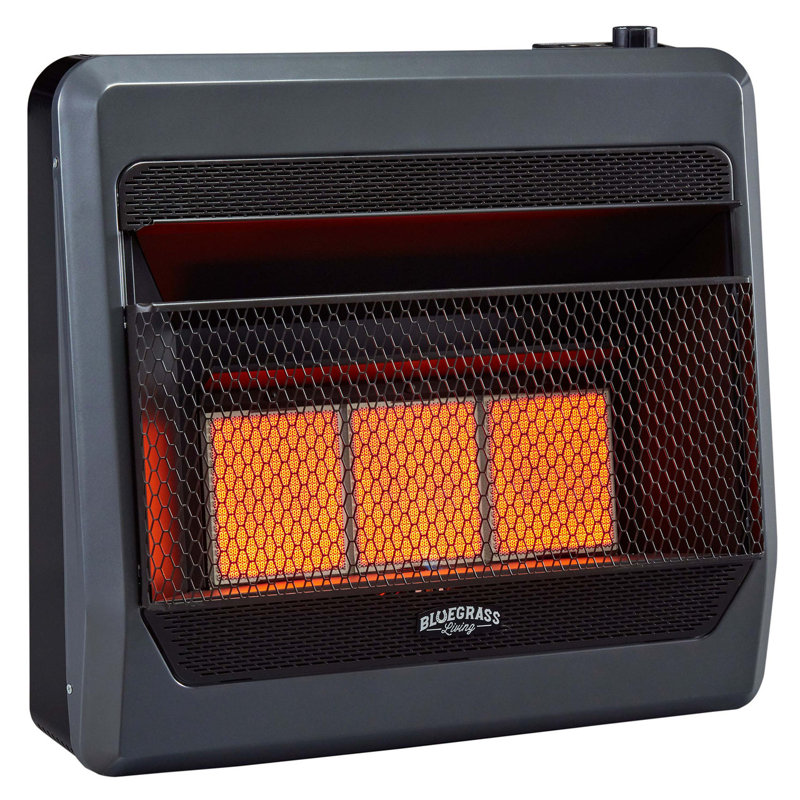 Bluegrass Living Propane Infrared Heater With Blower And Base Feet Wayfair