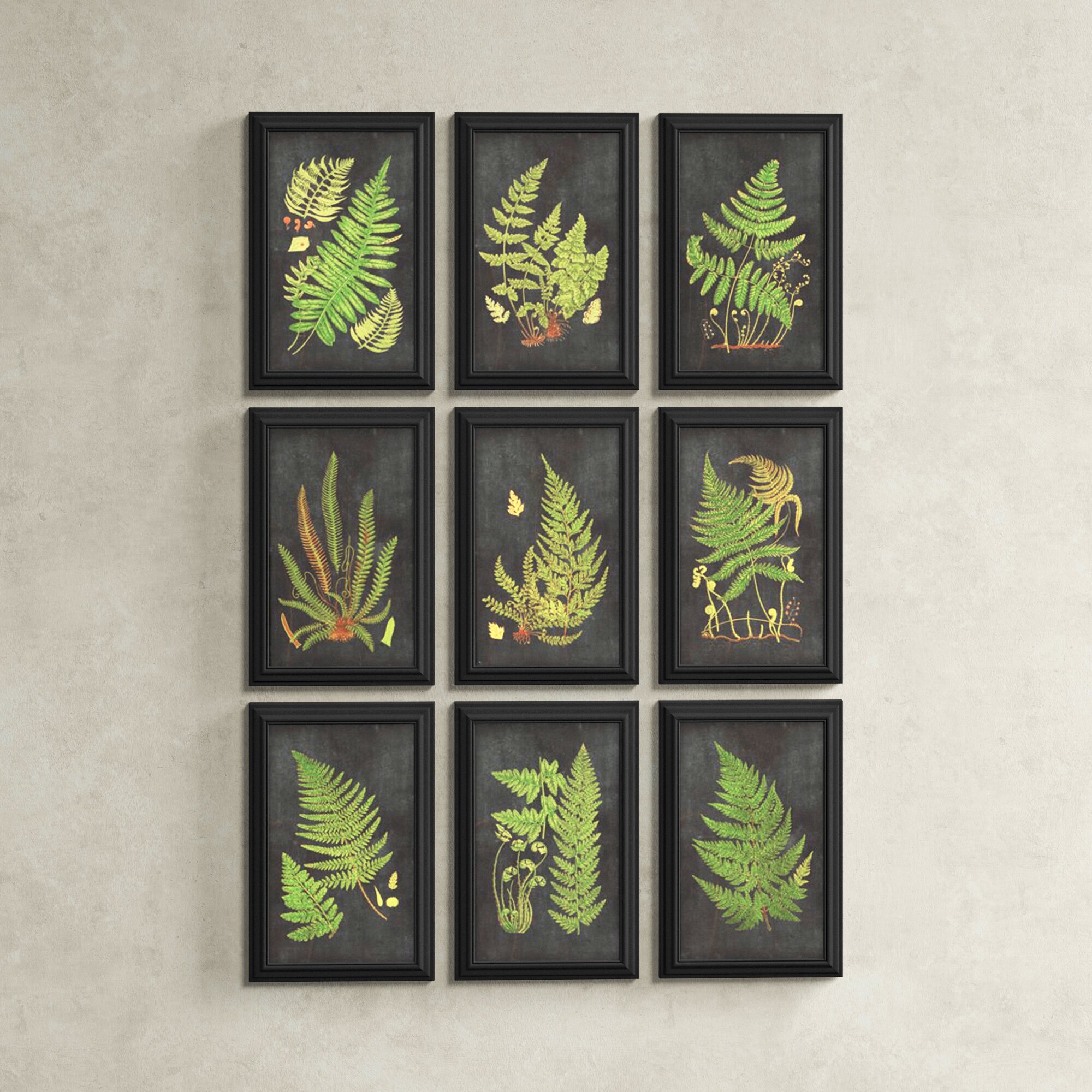 Birch Lane™ Enid Fern Botanical - 9 Piece Picture Frame Graphic Art Set ...