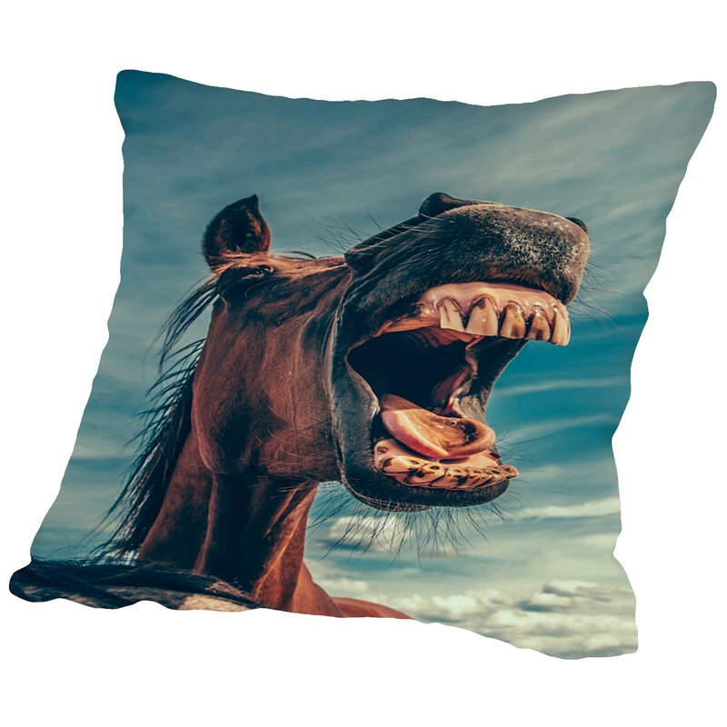 funny pillows