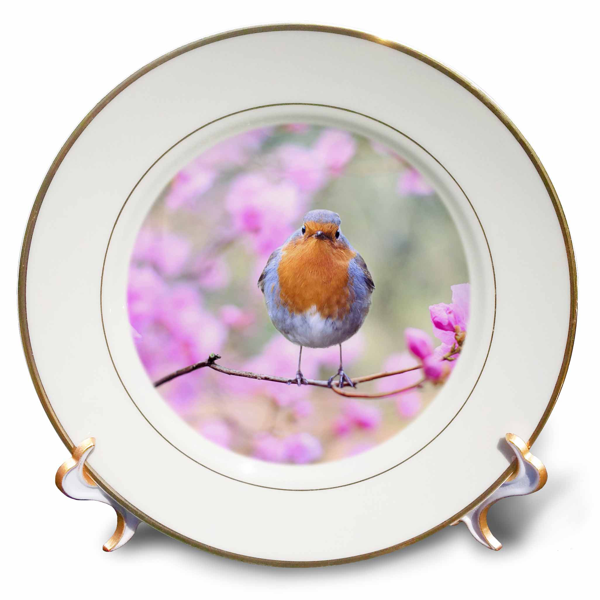 East Urban Home Singing Robin Spring Bird On Colorful Background Animals Birds Porcelain Decorative Plate Wayfair