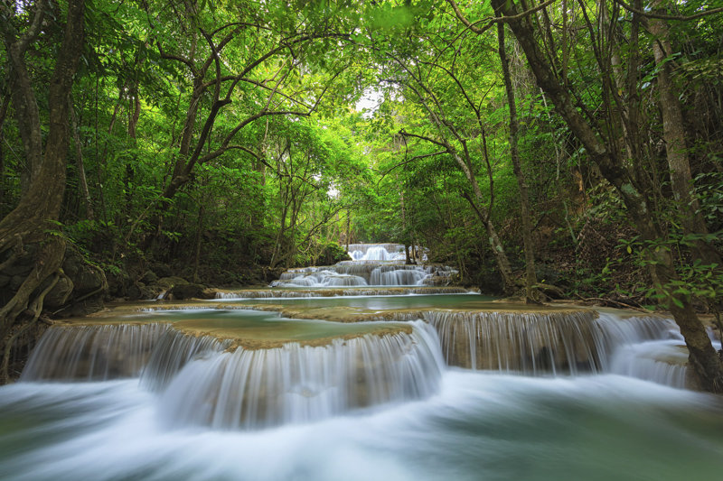 Waterfall in National Forest - Wrapped Canvas Photograph Size: 20" H x 30" W