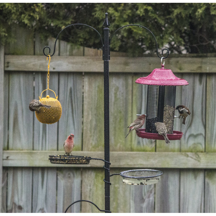 Backyard Expressions Deluxe Wild Bird Feeding Station Reviews