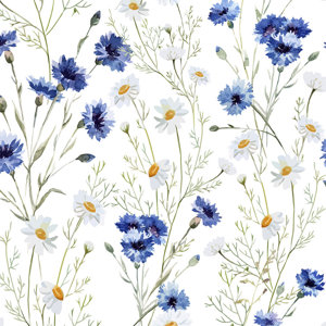 Daisy Delight Removable 5' x 20