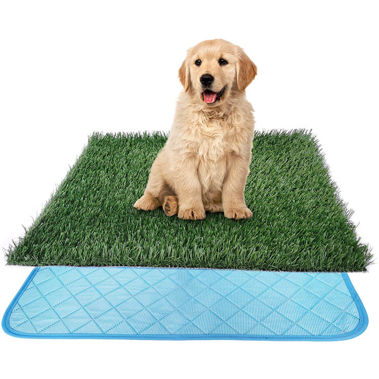 puppy pad mat