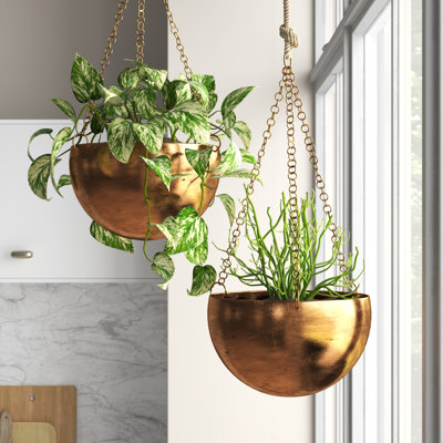 Metal Indoor Outdoor Hanging Dome Indoor Outdoor Wall Planter with Chain