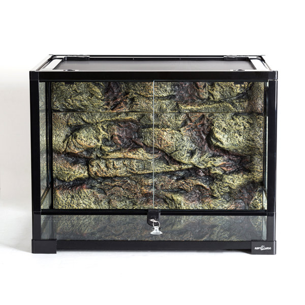 Reptizoo 34 Gallon Lizards Starter Kit Reviews Wayfair