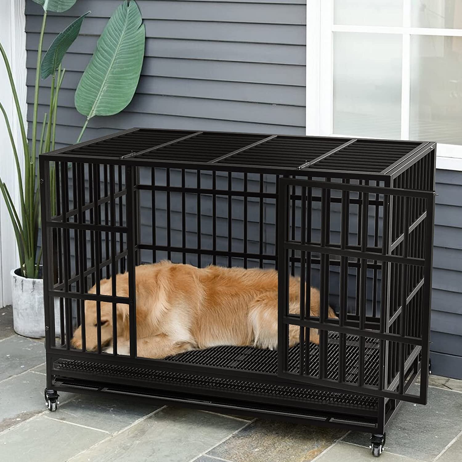 tucker murphy dog crate