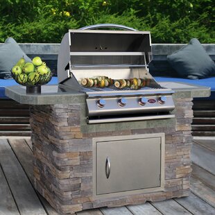 View 4 Burner Propane Gas Grill with