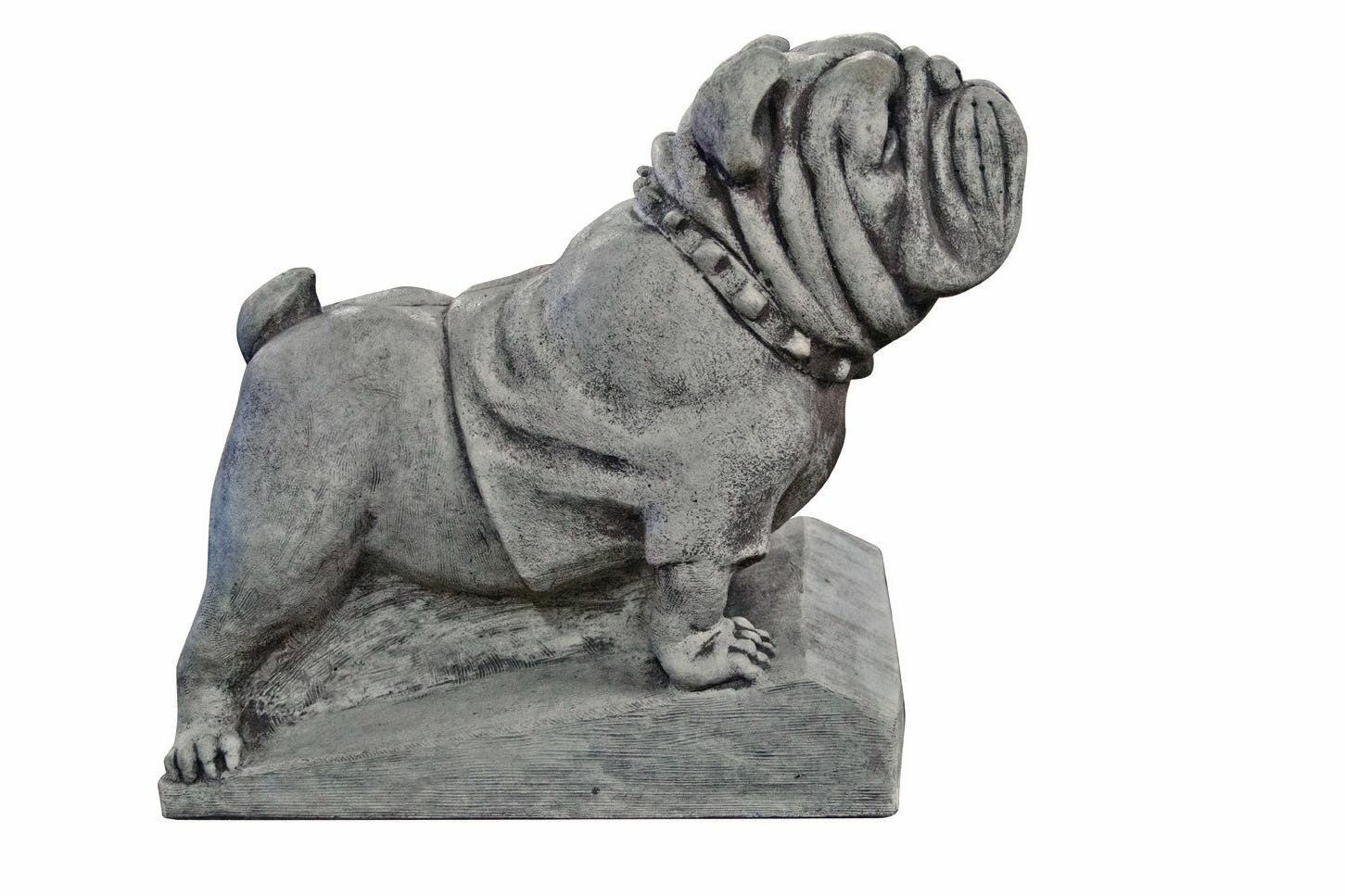 Henri Studio English Bulldog Statue Reviews Wayfair