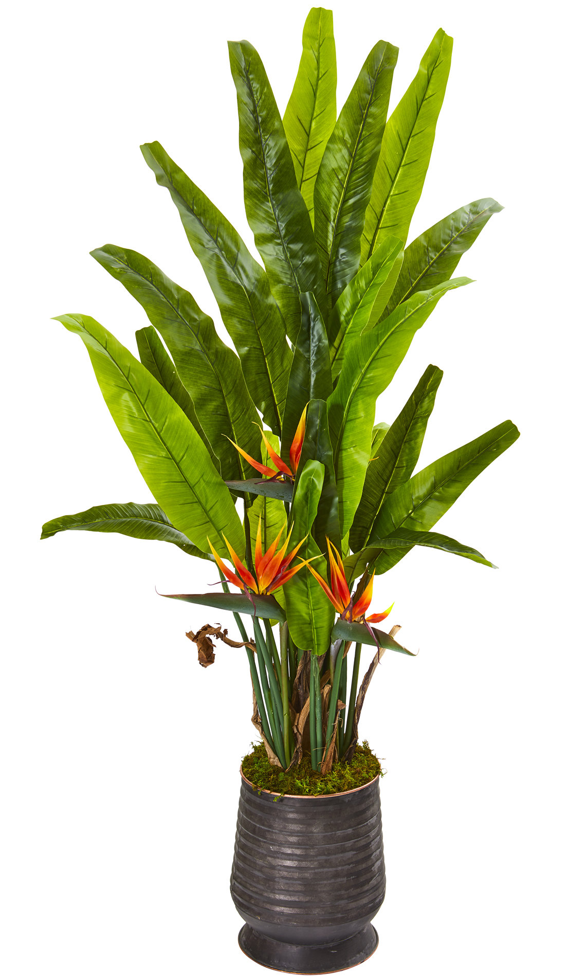 bird of paradise plant on Bay Isle Home Artificial Bird Of Paradise Plant In Planter Wayfair