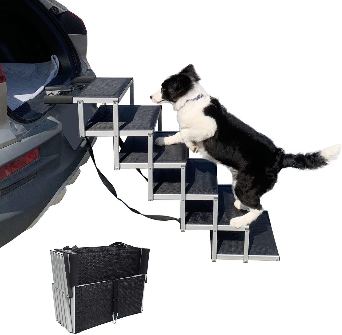 dog slipping on stairs