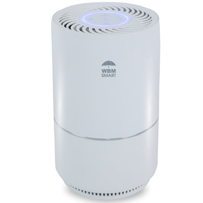WBM Air Purifier for 1440 Cubic Feet, True HEPA Filter for Allergens, Mold, and Germs