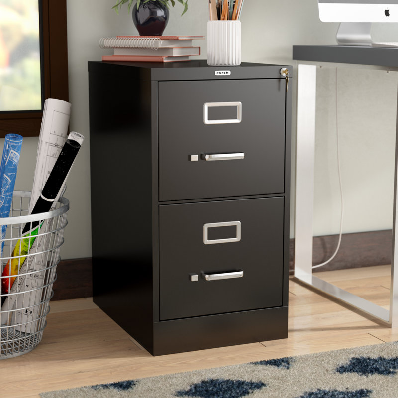 Latitude Run Scalzo 2 Drawer Vertical Filing Cabinet Reviews