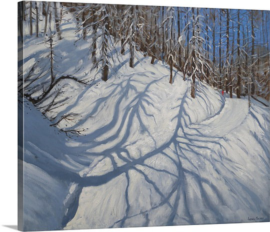 Canvas On Demand Fir Tree Shadows Tignes By Andrew Macara