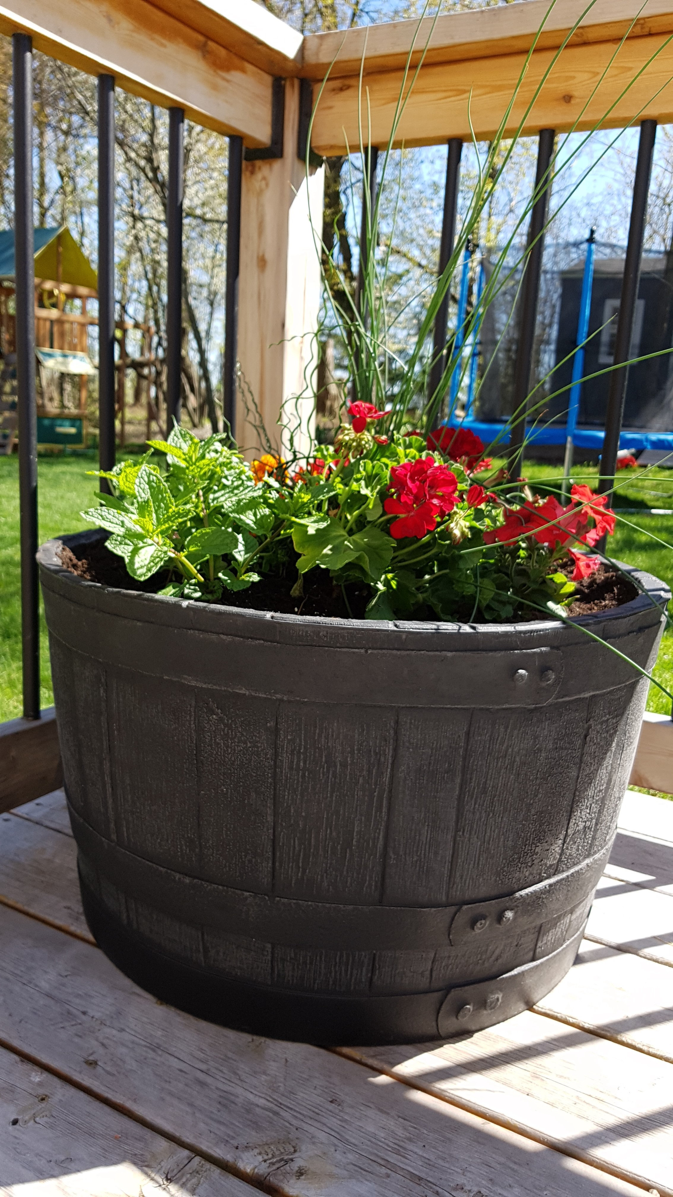 Rts Companies Plastic Barrel Planter Wayfair Rts Companies Plastic Barrel Planter