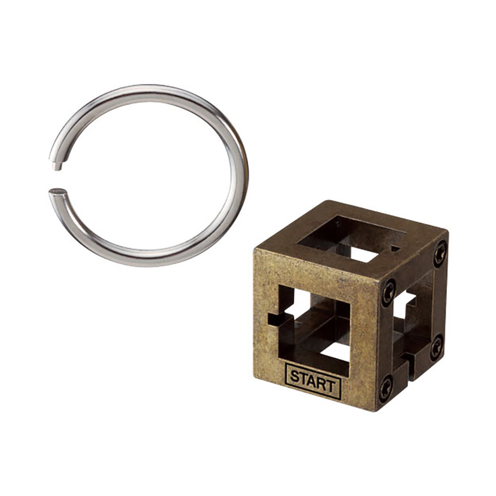 BePuzzled Hanayama Level 2 Cast Puzzle Box | Wayfair