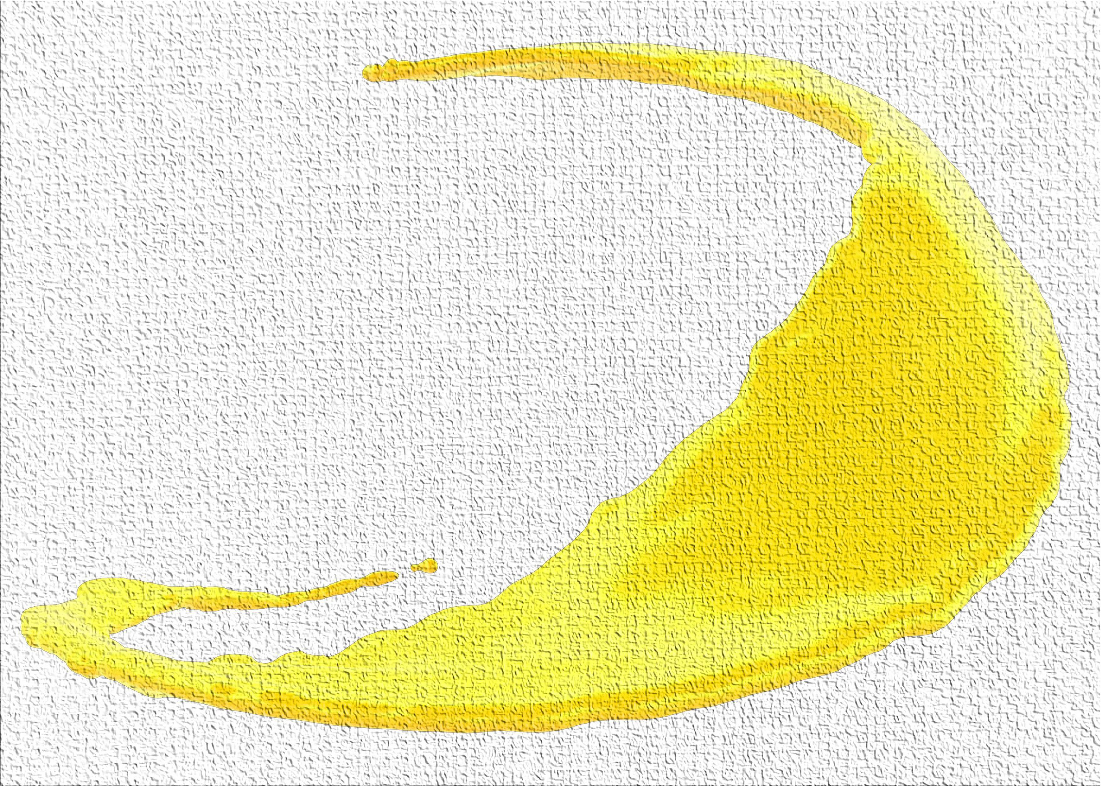 East Urban Home Splash Yellow Area Rug Wayfair