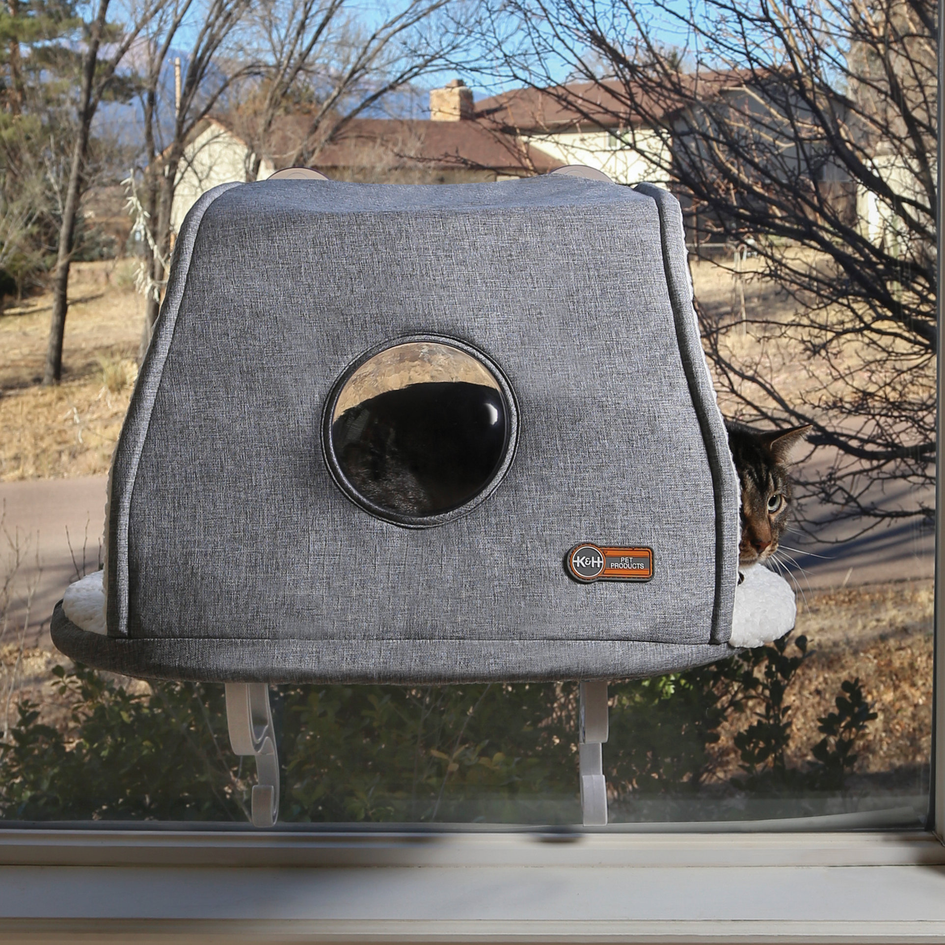 Tucker Murphy Pet™ Batchelder Universal Designer Hooded & Reviews | Wayfair