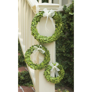 Preserved Greens 3 Piece Wreath Set