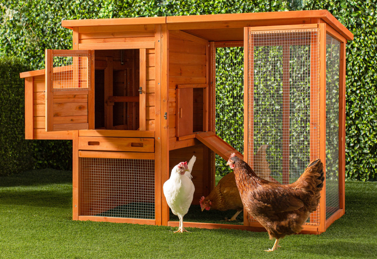 [BIG SALE] Chicken Coop & Rabbit Hutch Sale You’ll Love In 2022 Wayfair